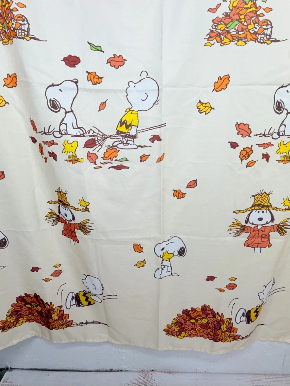 Peanuts Celebrate Together Snoopy & Woodstock Halloween Fall Shower Curtain